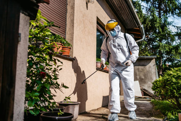 Pest Prevention Services in Salisbury, MD