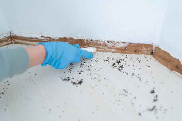 Best Best Pest Control Companies  in Salisbury, MD
