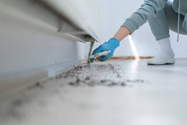 Trusted Salisbury, MD Pest Control Experts
